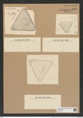 Trinacria pileolus (Ehr.) Grun. (de-Toni-Nr.: Genus 119, Species 3416) Zeichnungen Sammlung Grunow Nr. 6866 (NHMW-BOT-W0375724)